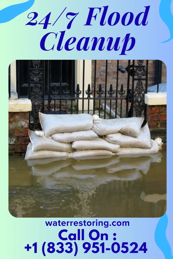 24/7 Flood Cleanup in Delavan, MN