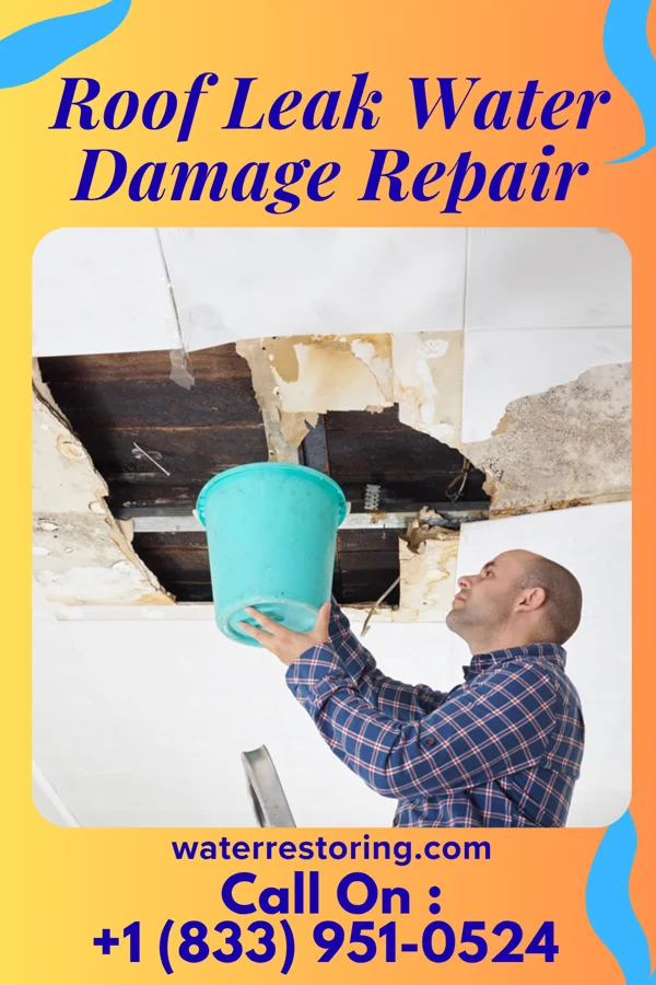 Roof Leak Water Damage Repair in Delavan, MN
